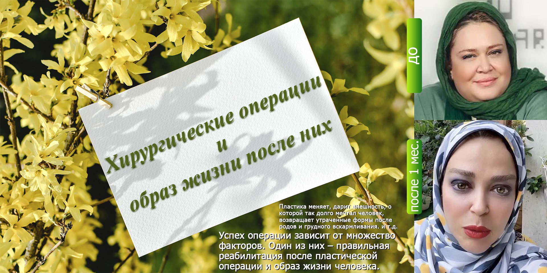 title_682daa8965cef15543803641747823241